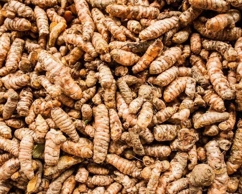 Curcuma